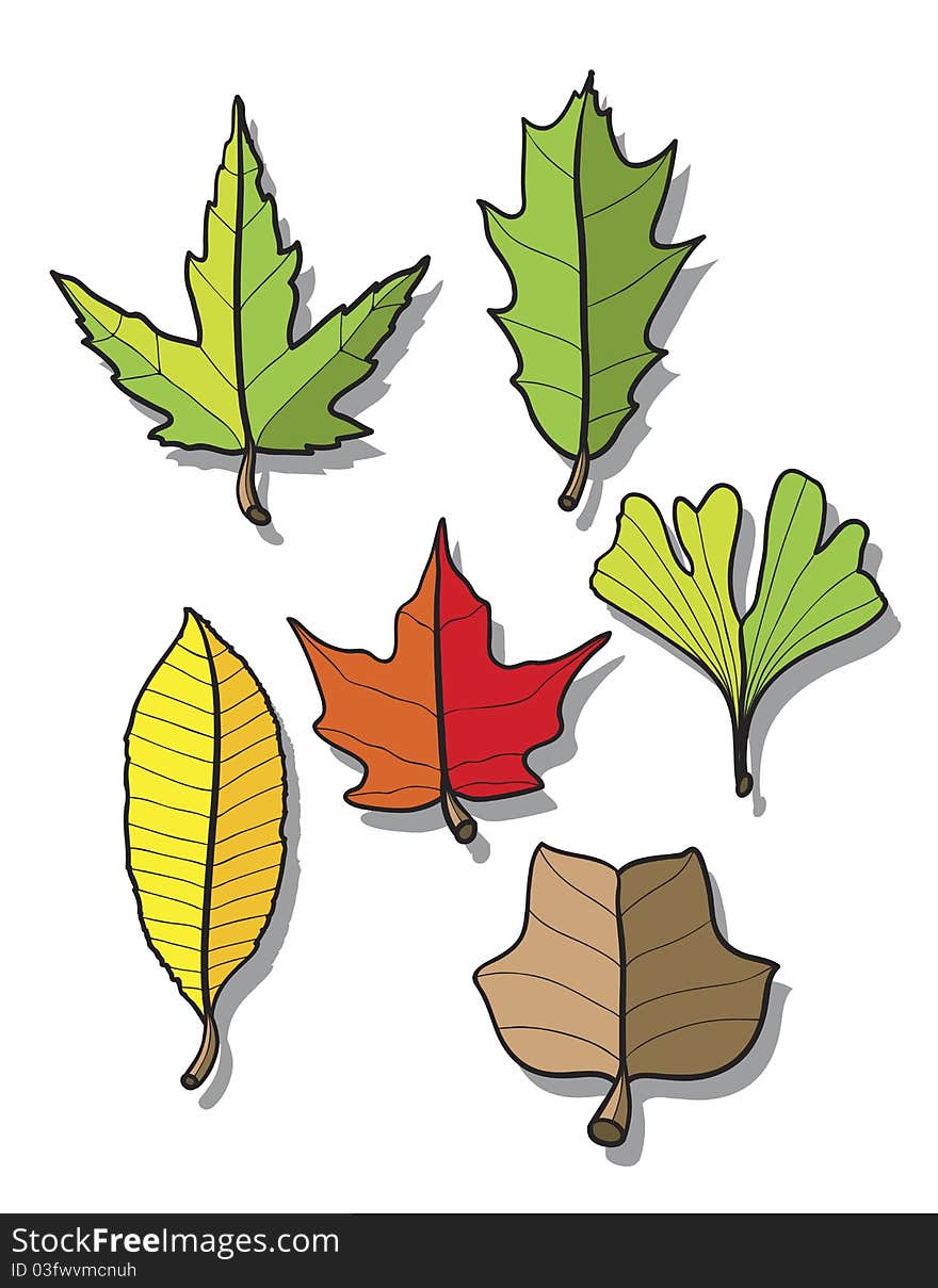 Leaves Cartoon