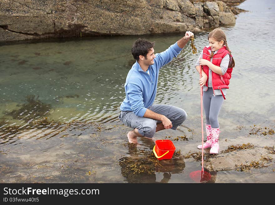 Father with daughter on beach playing with seaweed