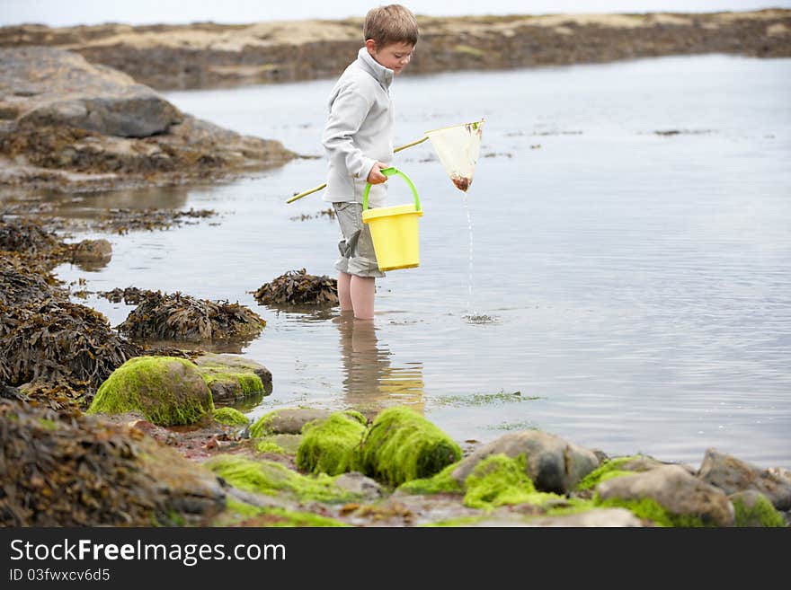 Boy on beach collecting shells