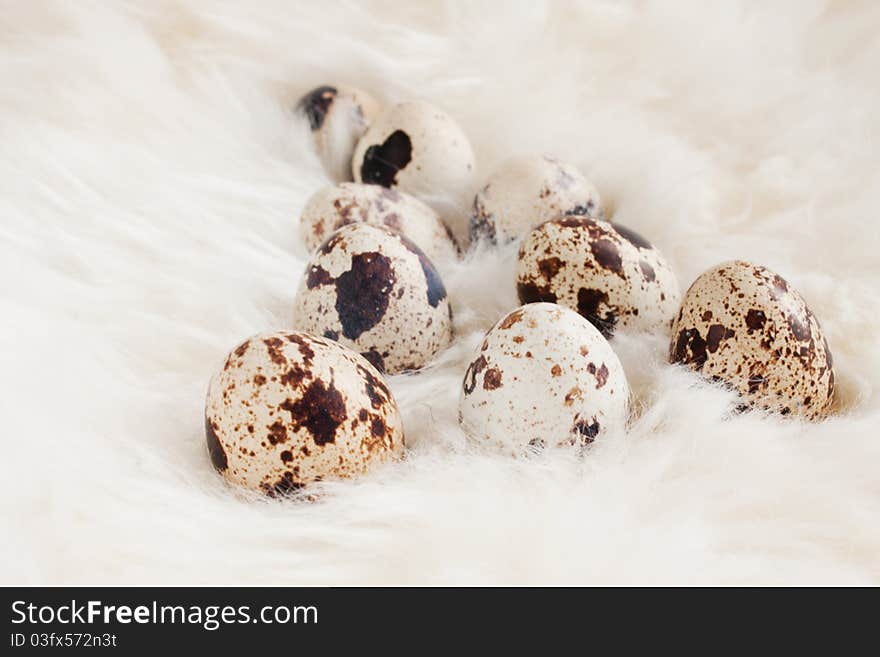 Quail Eggs