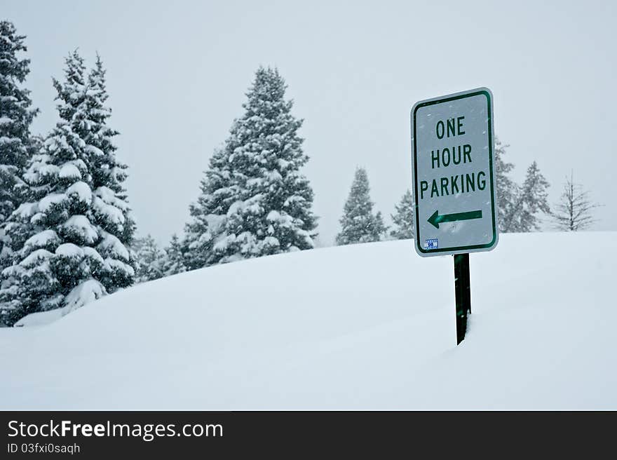 Parking in a Snow Storm