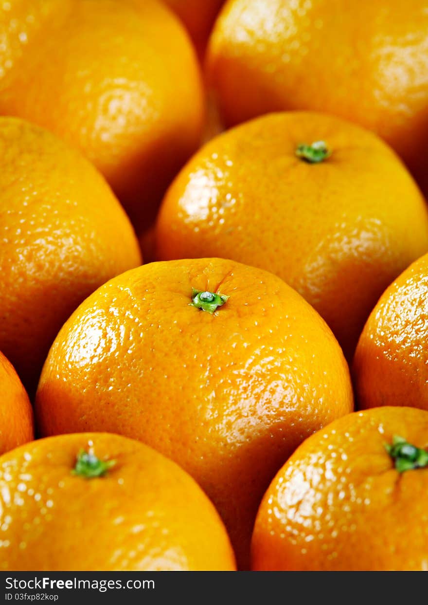 Group of oranges, closeup photo