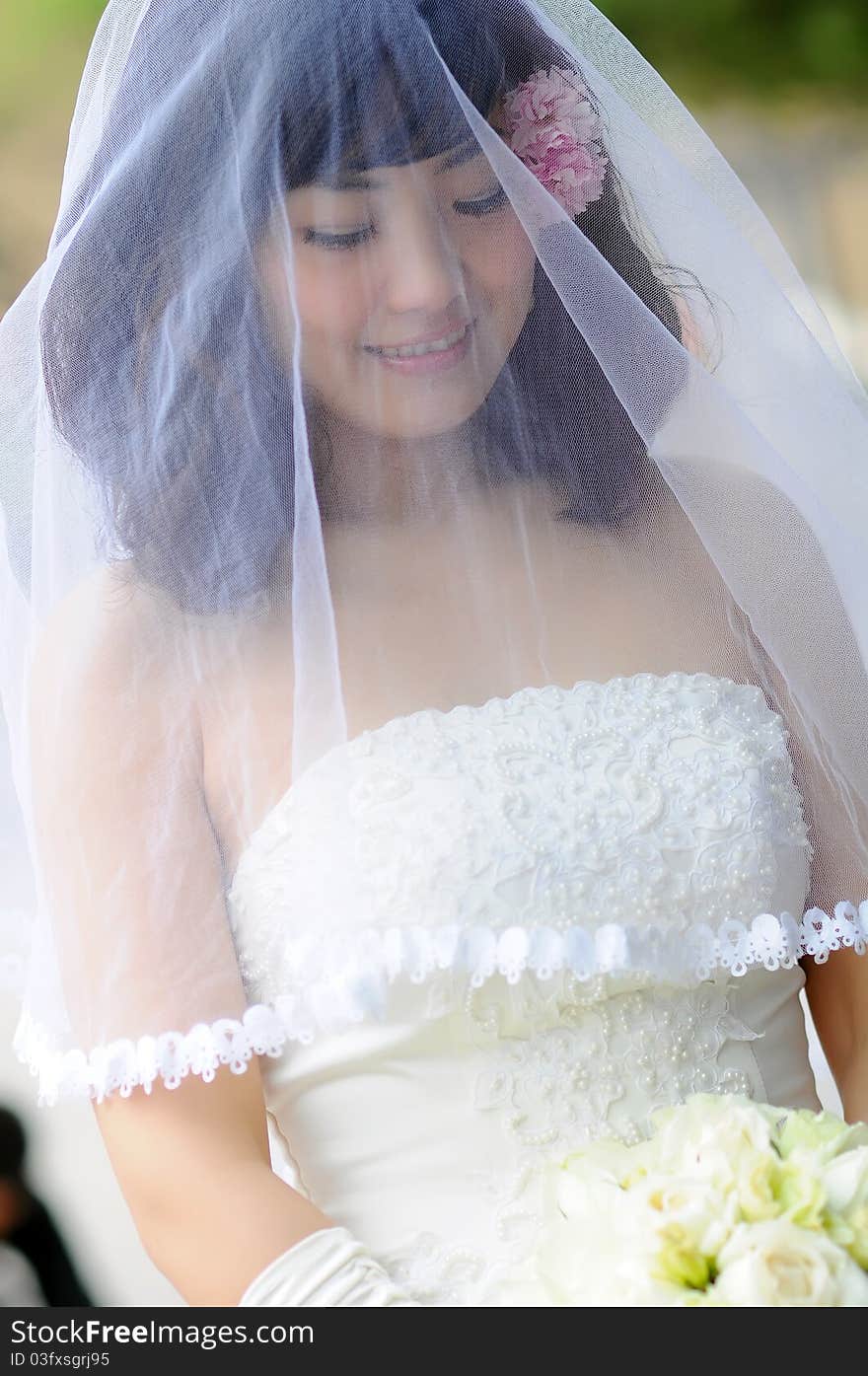 A beautiful Chinese bride, a flower stuck in her hair, covered with white gauze. A beautiful Chinese bride, a flower stuck in her hair, covered with white gauze