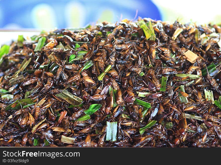 Roasted insects, grasshopper