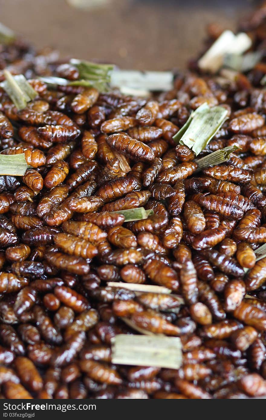 Roasted larvae, insects,food snack. Roasted larvae, insects,food snack