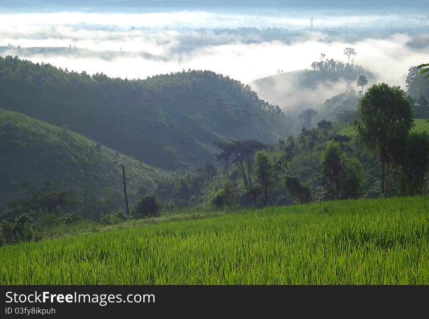 Mountain in the Mist