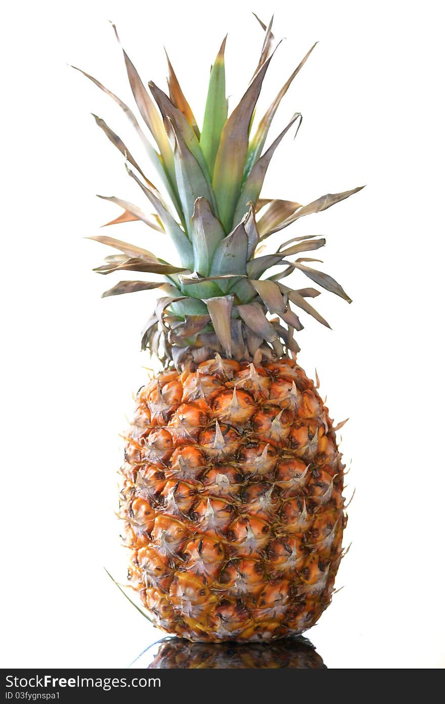 Pineapple