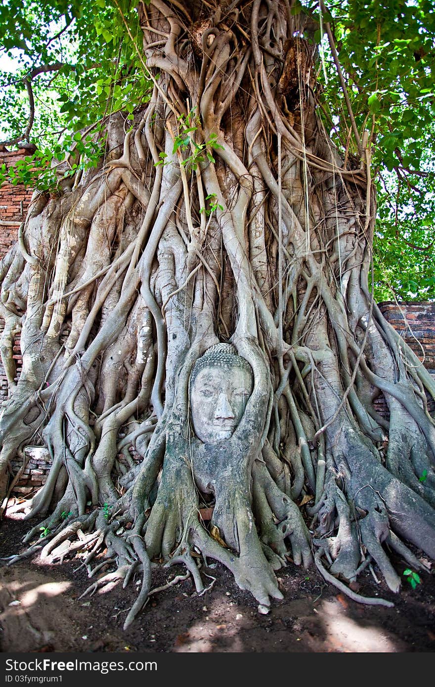 Head of Sandstone Buddha at Ayutthaya.Thailand.