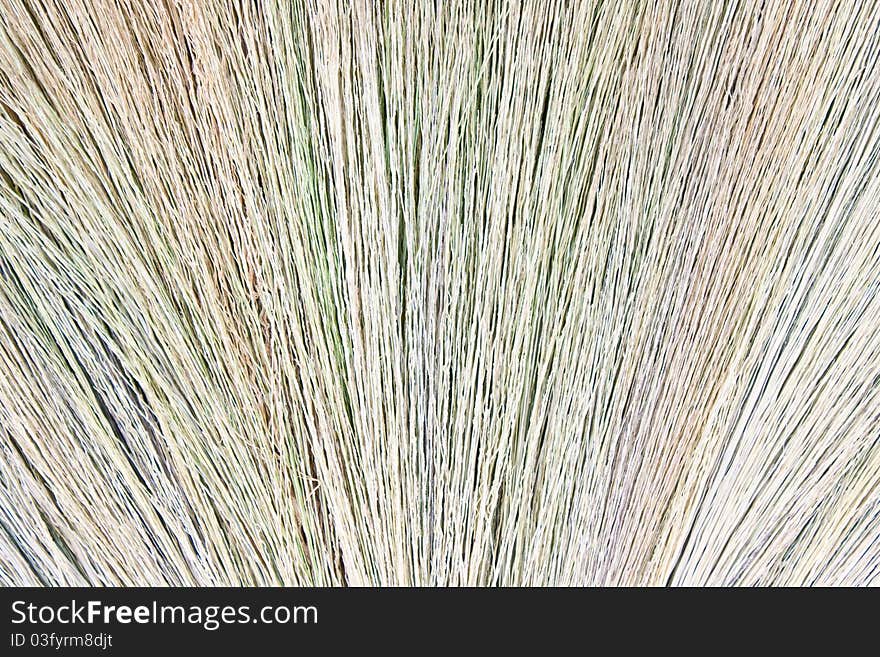 A background of dry grass. A background of dry grass