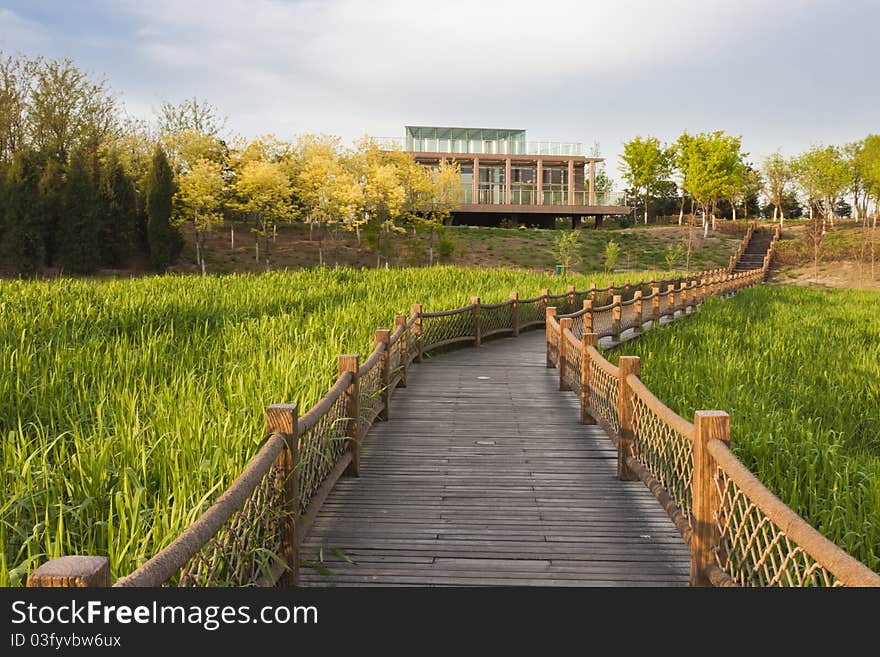 Boardwalk across the field in garden