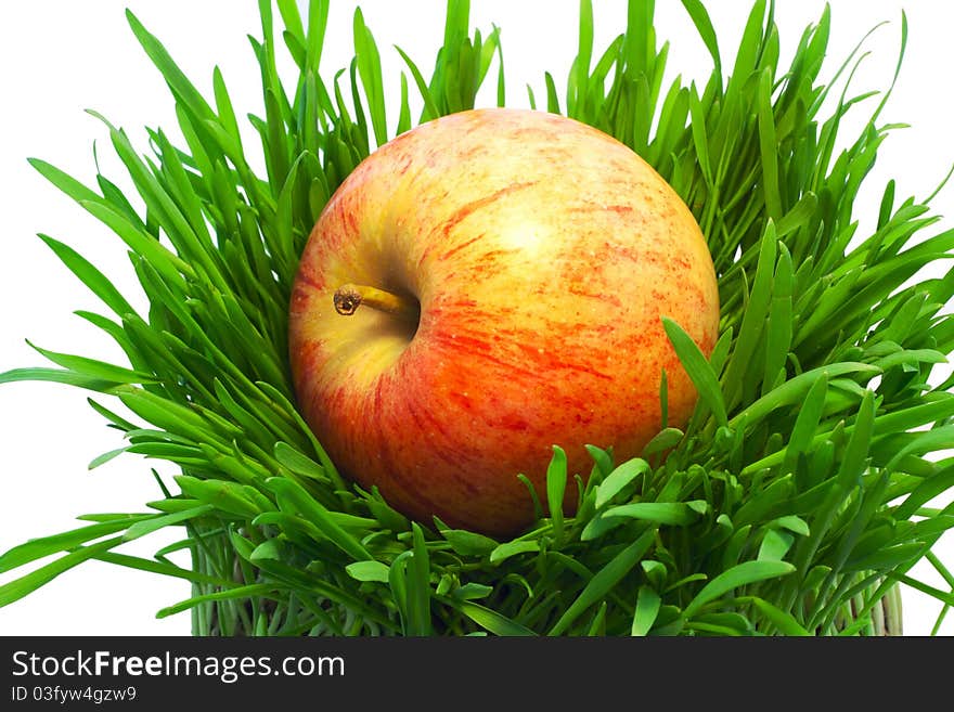 Apple in grass