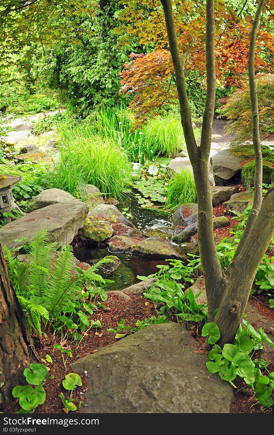 Lush green botanical forest in springtime