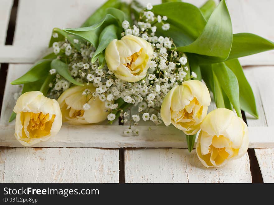 Bouquet of white tulips