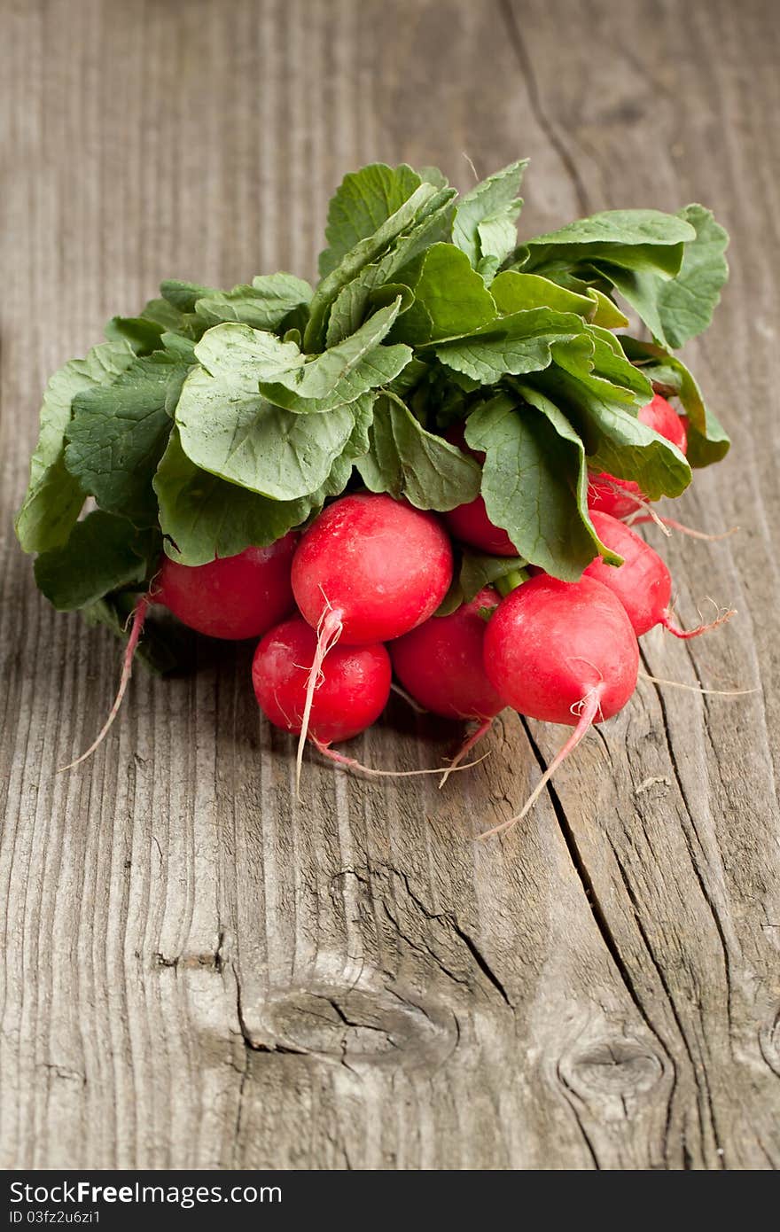 Bunch of fresh radishes on old wooden table