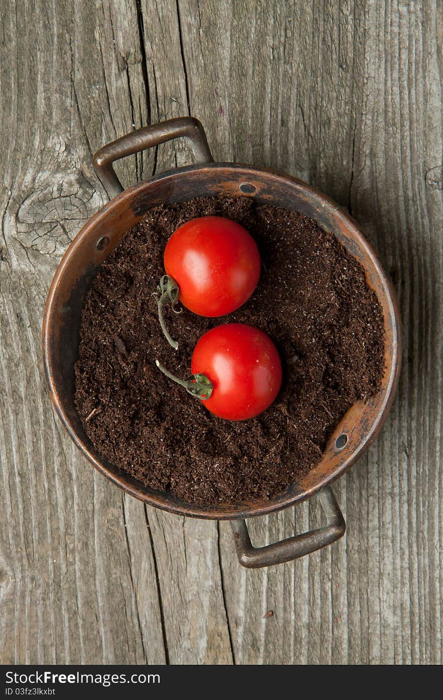 Top view on two fresh cherry tomatoes on the ground