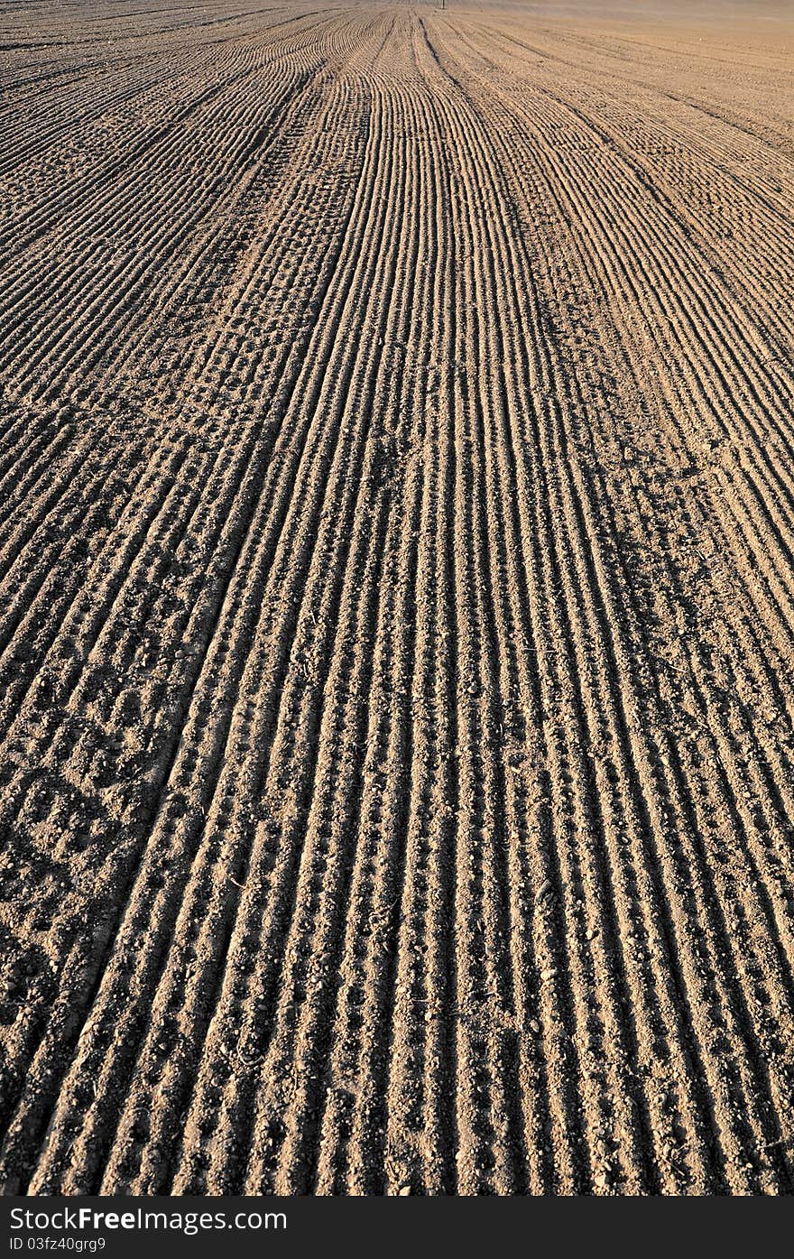 Field lines