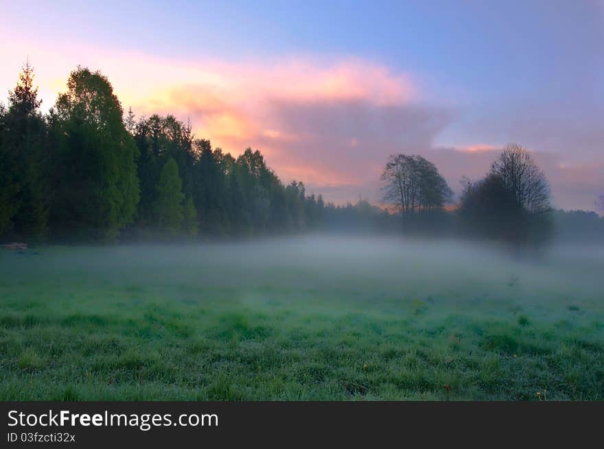 Landscape of the misty glade