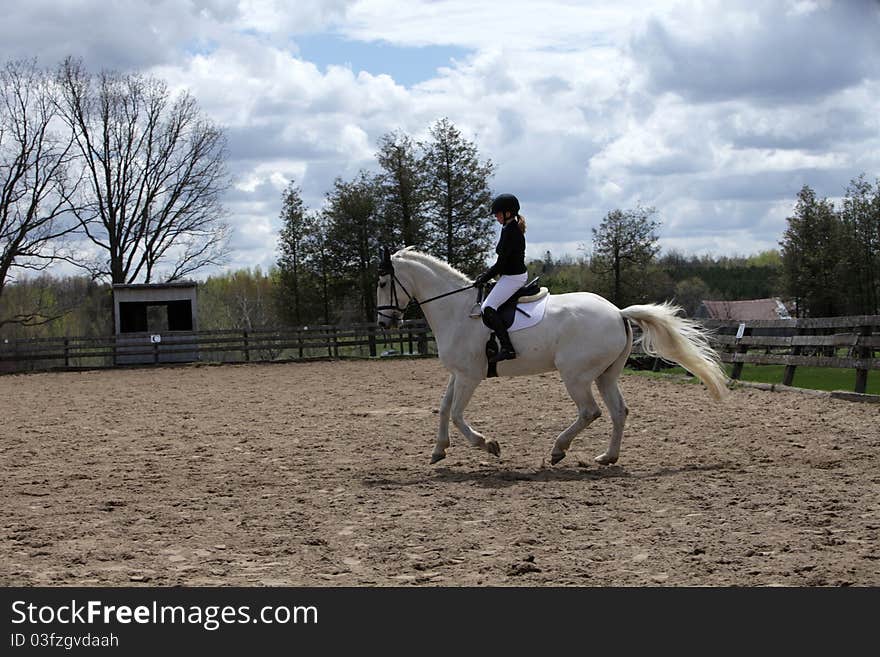 Dressage rider schooling her white horse