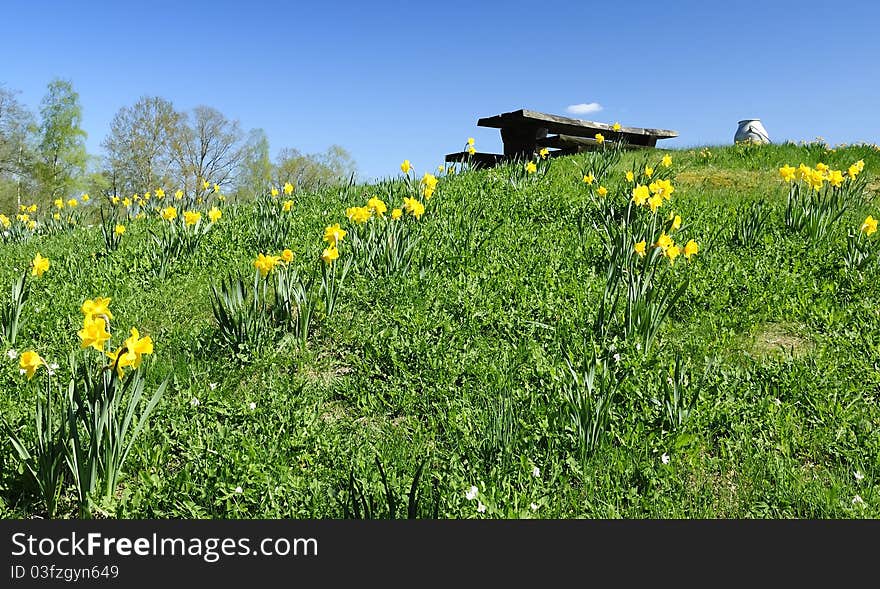 Spring hill with daffodils and symbolic farm objects. Spring hill with daffodils and symbolic farm objects