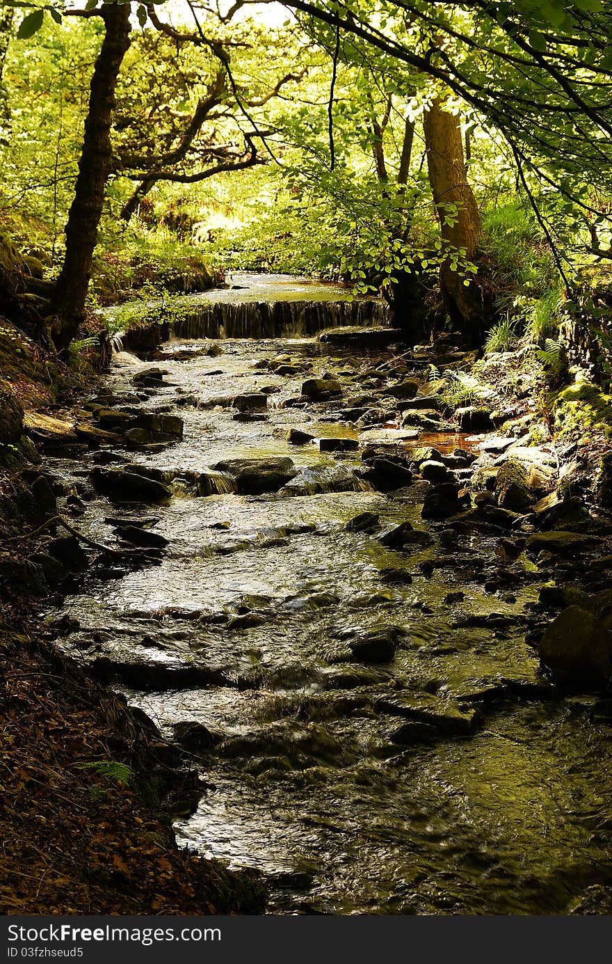 The Sunshine Lighting up hte Brook. The Sunshine Lighting up hte Brook