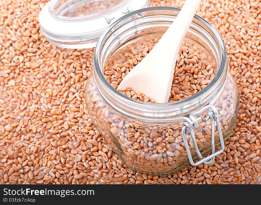 Macro shot of wheat grain