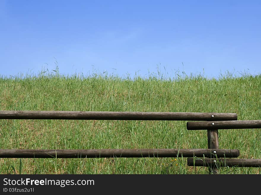 Fence on a green lawn