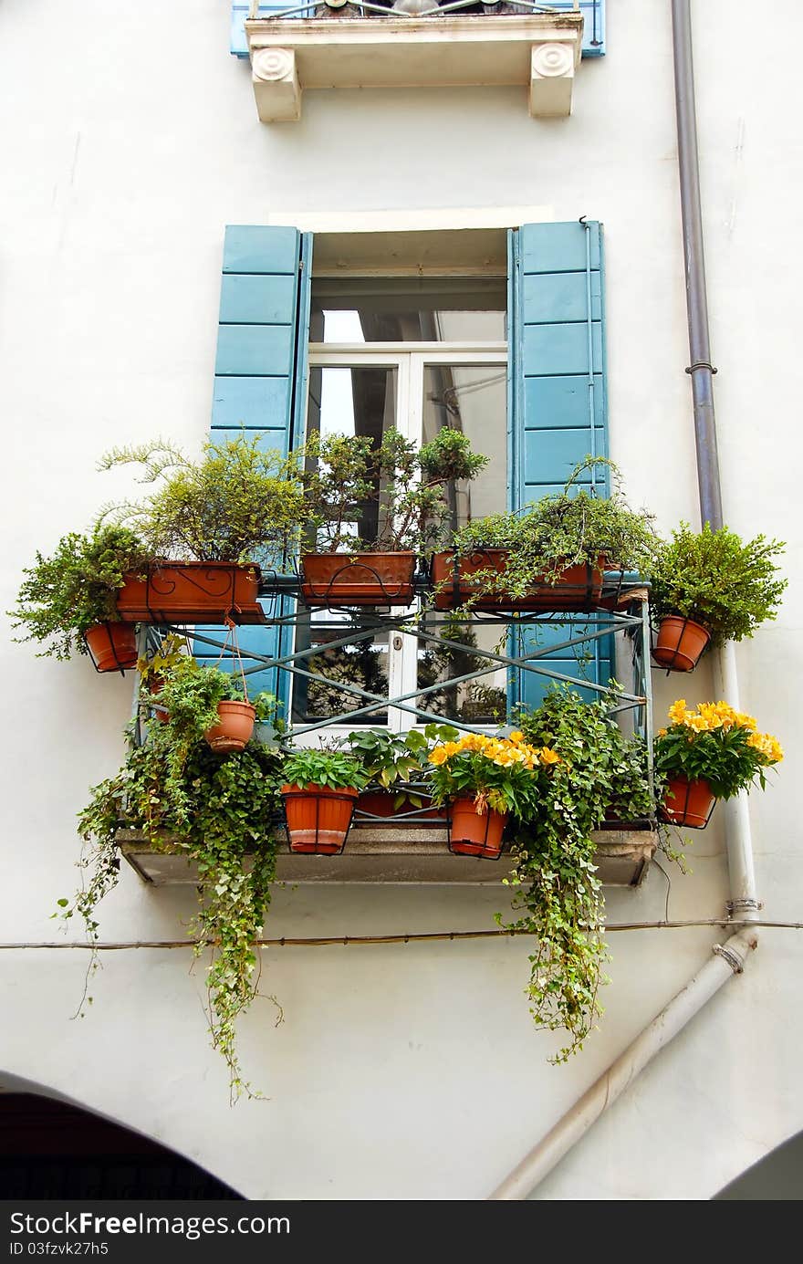 Terrace and window of building in Italy, Padova, with flowerpots and blooming flowers. Terrace and window of building in Italy, Padova, with flowerpots and blooming flowers