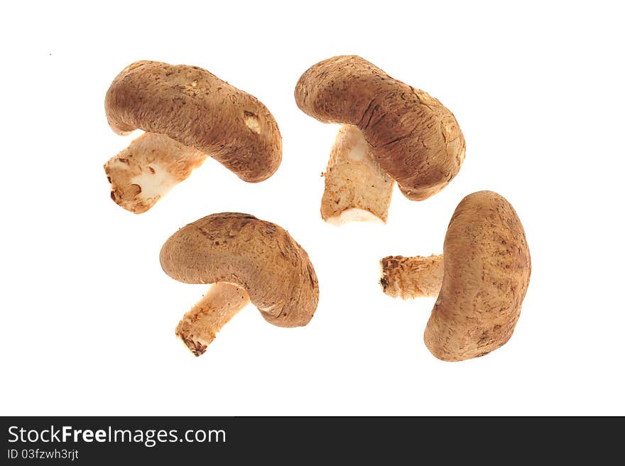 Closeup Of Fresh Mushroom Isolated On White Background