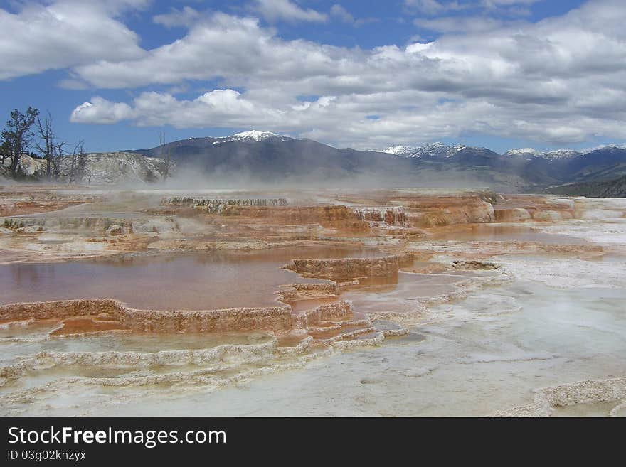 Mammoth Springs