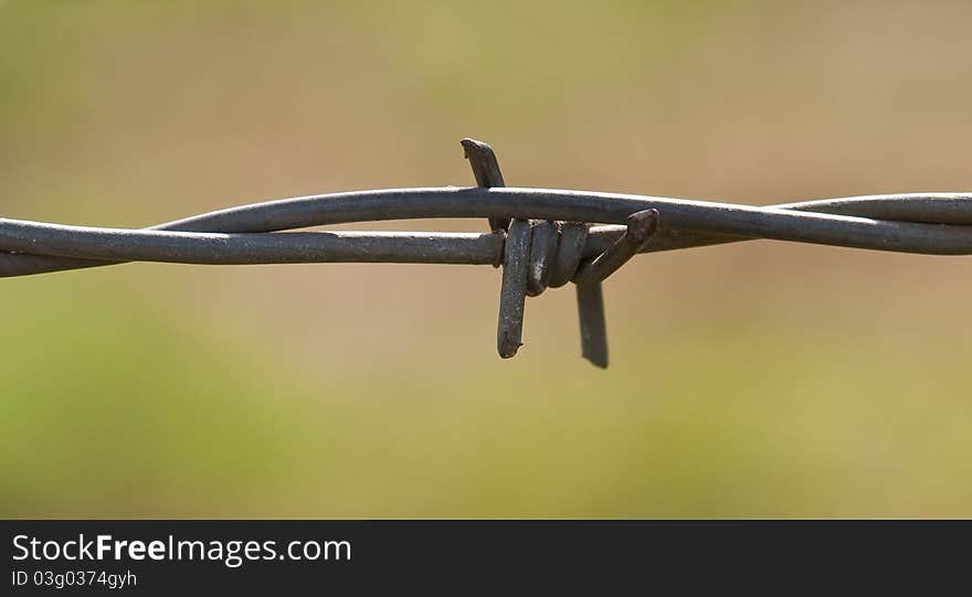 Sharp barbed wire isolated from the background barb