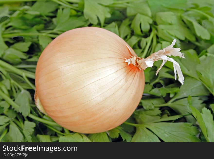 Onion