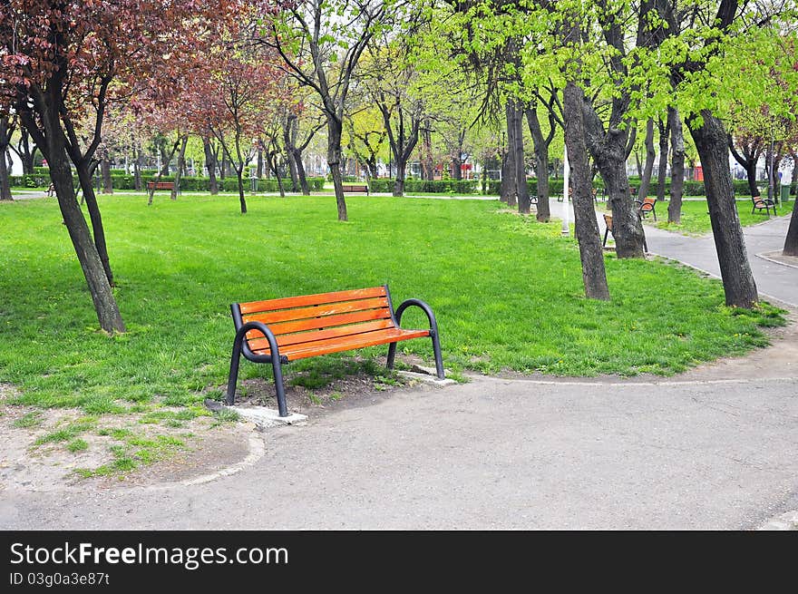 Bench on alley in a park at sunset