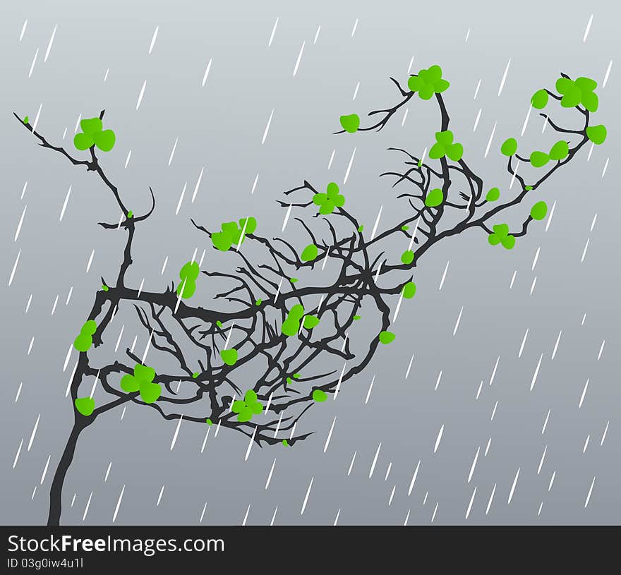 Branch with leafs against a rain. A illustration. Branch with leafs against a rain. A illustration