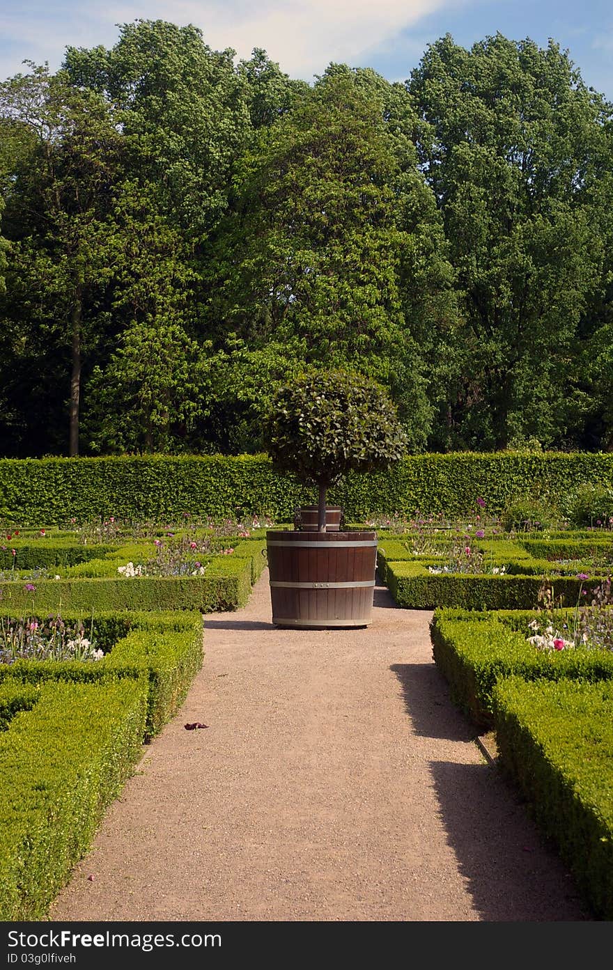 Garden with decorative orange tree in terracotta pot Benrathshloss, Düsseldorf, Germany. Garden with decorative orange tree in terracotta pot Benrathshloss, Düsseldorf, Germany.