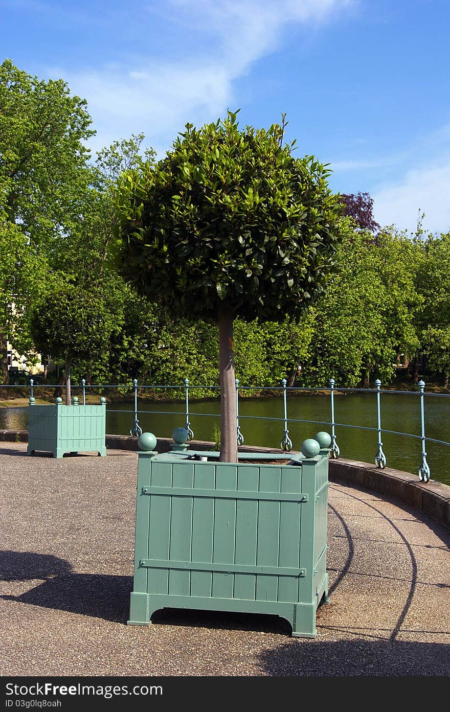 Orange tree in wooden container in the city park of a castle of Dusseldorf.