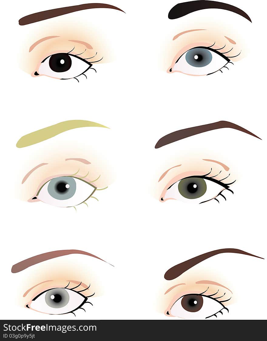 Several eye models on white background. Several eye models on white background