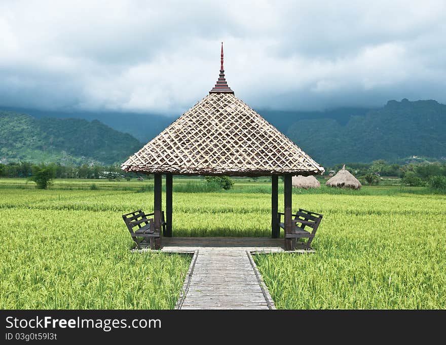 Pathway to Green rice field in Thailand. Pathway to Green rice field in Thailand