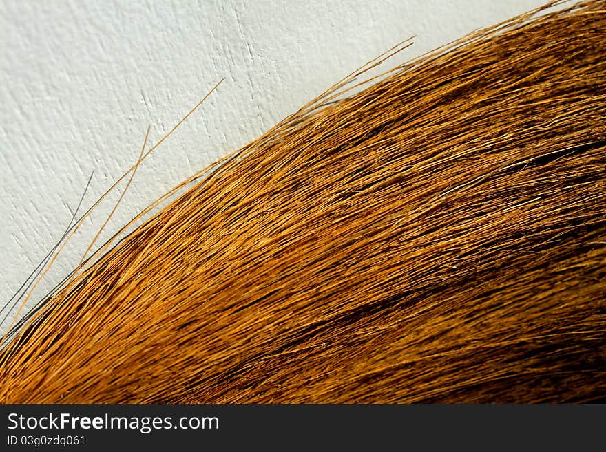 Dried straw put together as intrument for cleaning grounds