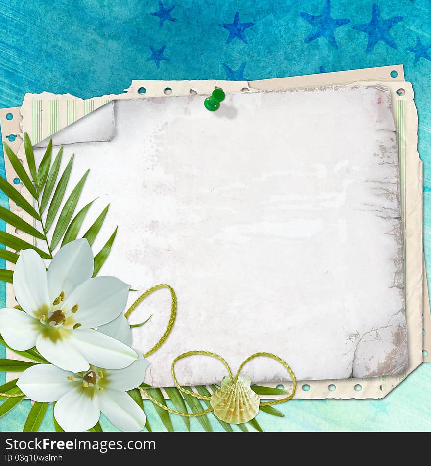 Beach postcard with sea shell and star fish in scrap-booking style