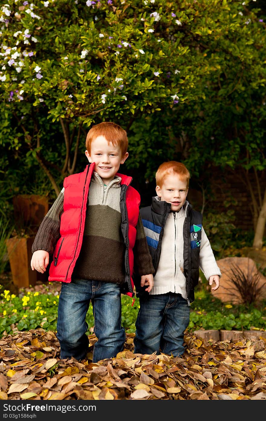 Two happy and smiling brothers or sons are standing together in a pile of autumn / fall leaves in a park or garden. Two happy and smiling brothers or sons are standing together in a pile of autumn / fall leaves in a park or garden