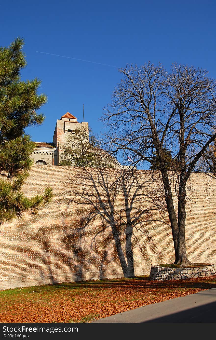 Shadow from tree on Kalemegdan fortress wall over blue sky in Belgrade, Serbia, at autumn. Shadow from tree on Kalemegdan fortress wall over blue sky in Belgrade, Serbia, at autumn