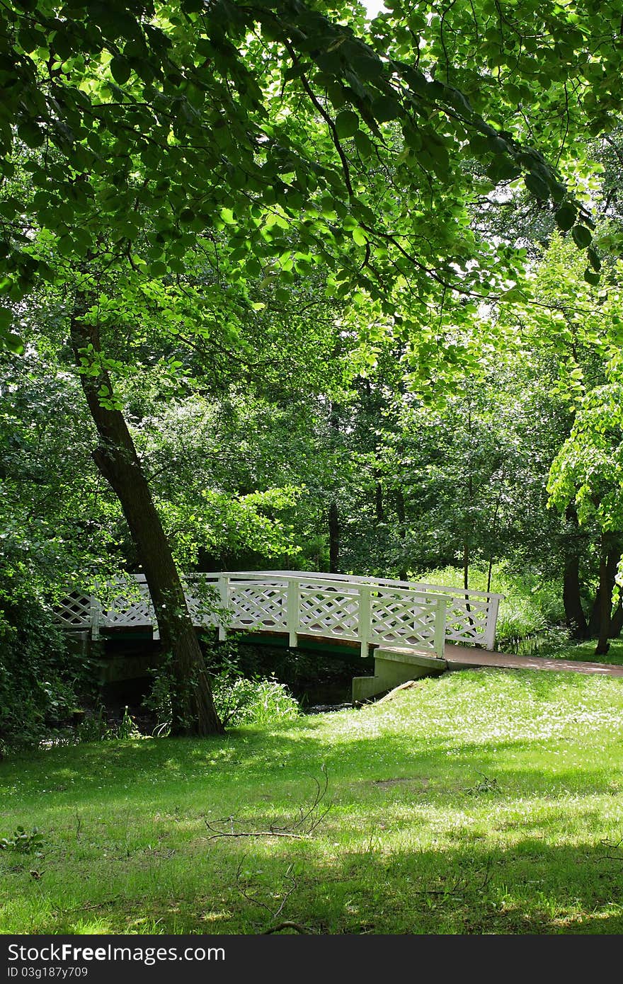 Beautiful look of a park - summer time.