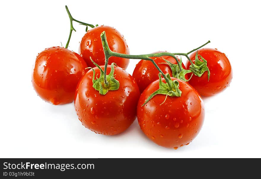 Group of tomatoes on white background