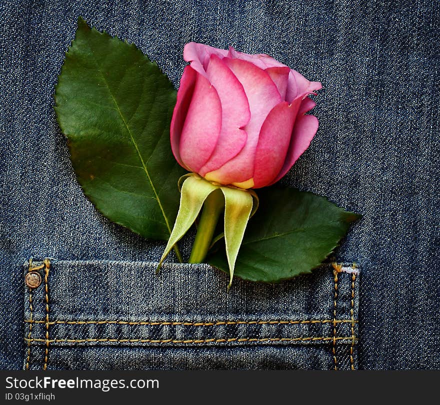 Rose in the pocket jeans