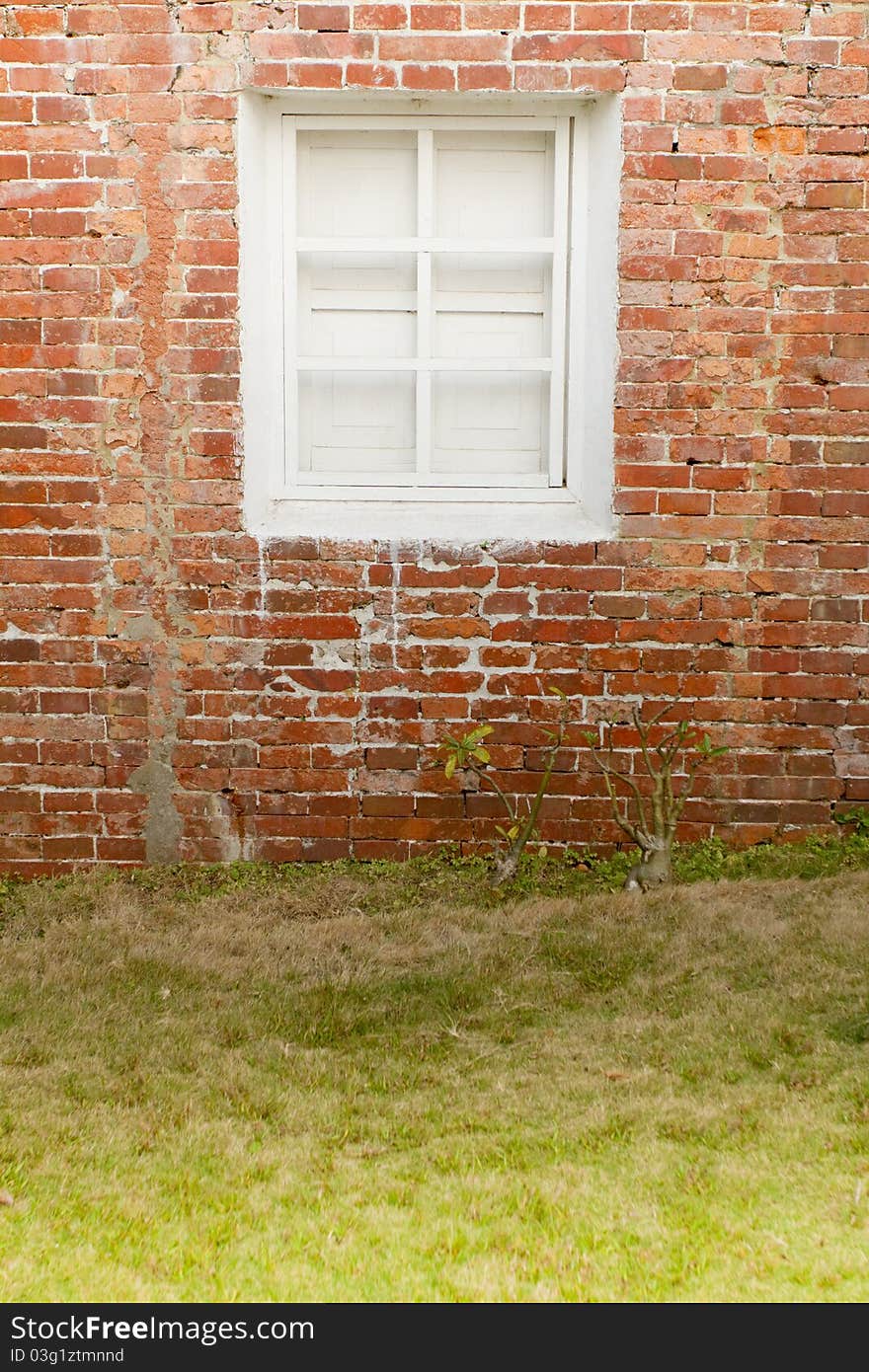 Red brick Wall with white window and grass