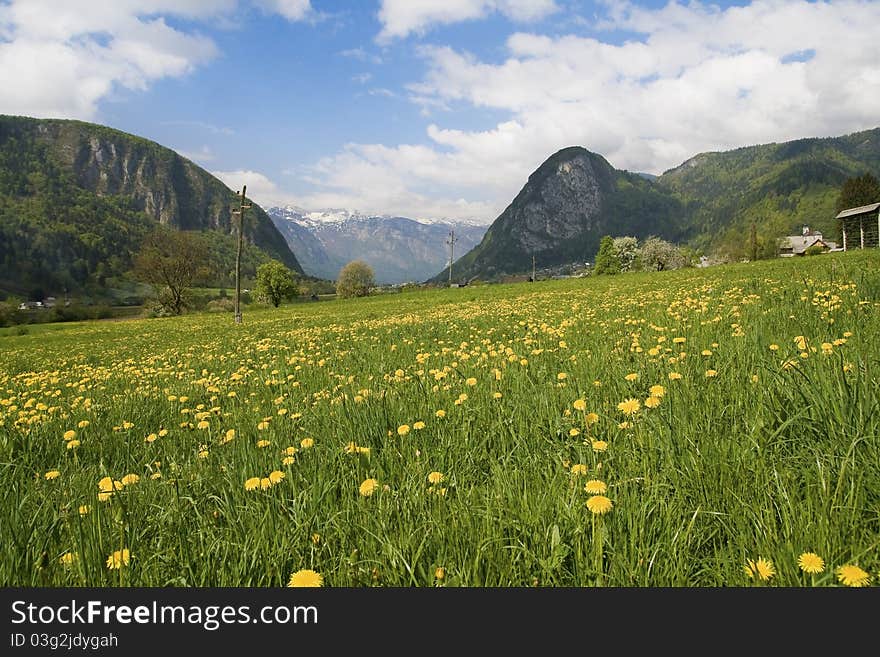 This scienic valley is located just few kilometers from lake Bohinj, and it is a typical sight in that area. Activities like trekking, mountainbiking, horse riding, skiing are usual here. This scienic valley is located just few kilometers from lake Bohinj, and it is a typical sight in that area. Activities like trekking, mountainbiking, horse riding, skiing are usual here