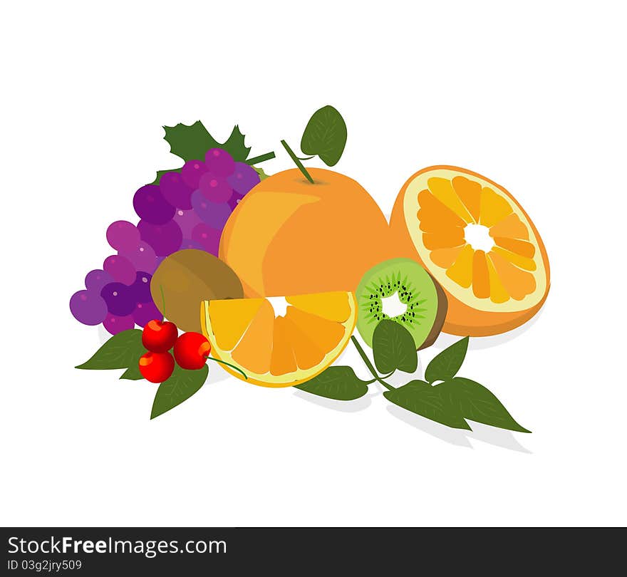 Vector illustration of fruits on white