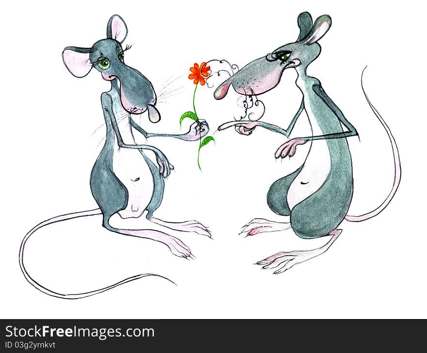 Two rats on a white background: isolated illustration