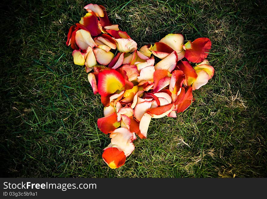 Rose petals forming a heart. Rose petals forming a heart