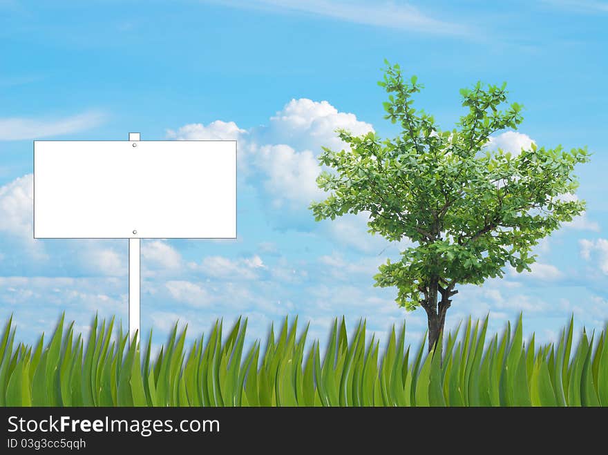 Blank sign background of grass pattern on nice blue sky